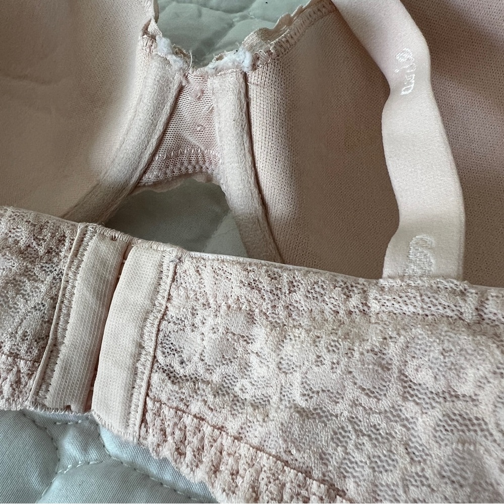 aerie Lace Push-Up Bra in Light Blush - Picture 9 of 10